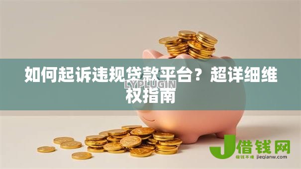 如何起诉违规贷款平台？超详细维权指南