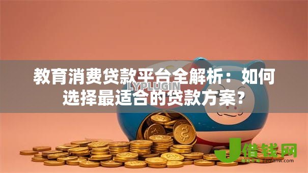 教育消费贷款平台全解析：如何选择最适合的贷款方案？
