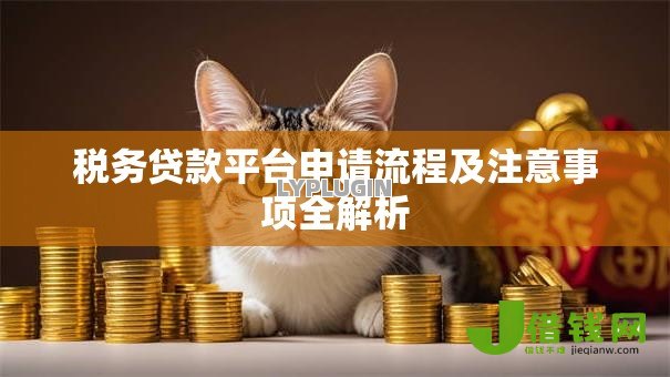 税务贷款平台申请流程及注意事项全解析 税务贷款平台申请流程及注意事项全解析
