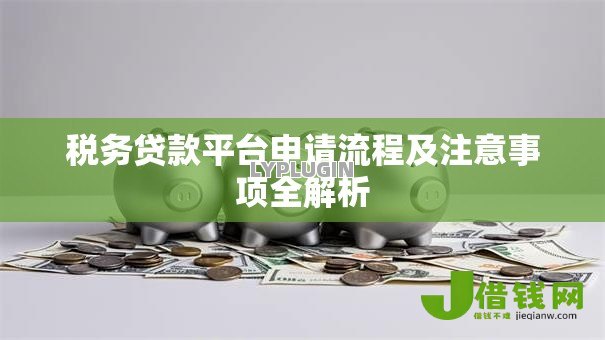 税务贷款平台申请流程及注意事项全解析 税务贷款平台申请流程及注意事项全解析