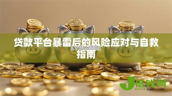 贷款平台暴雷后的风险应对与自救指南 贷款平台暴雷后的风险应对与自救指南