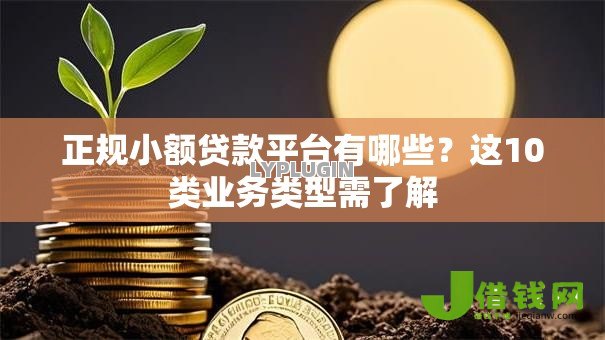 正规小额贷款平台有哪些?这10类业务类型需了解 正规小额贷款平台有哪些?这10类业务类型需了解