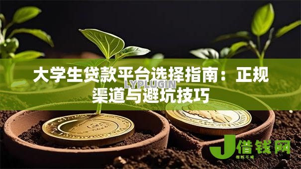 大学生贷款平台选择指南：正规渠道与避坑技巧