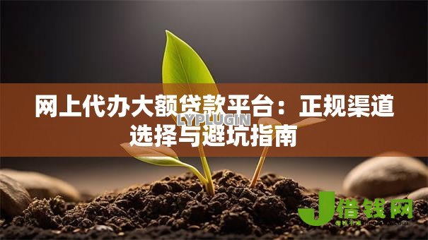网上代办大额贷款平台：正规渠道选择与避坑指南
