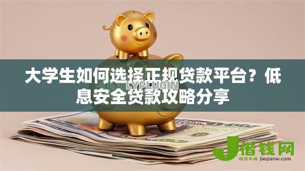 大学生如何选择正规贷款平台？低息安全贷款攻略分享