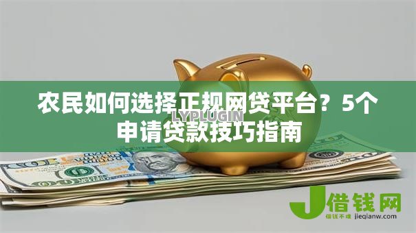 农民如何选择正规网贷平台?5个申请贷款技巧指南 农民如何选择正规网贷平台?5个申请贷款技巧指南