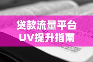 贷款流量平台UV提升指南:精准获客与转化策略解析 贷款流量平台UV提升指南:精准获客与转化策略解析