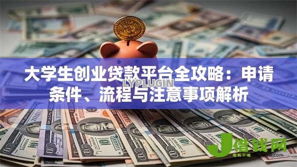 大学生创业贷款平台全攻略:申请条件、流程与注意事项解析 大学生创业贷款平台全攻略:申请条件、流程与注意事项解析