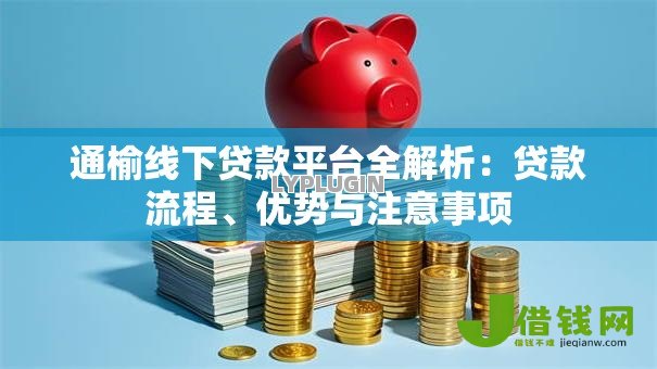 通榆线下贷款平台全解析:贷款流程、优势与注意事项 通榆线下贷款平台全解析:贷款流程、优势与注意事项