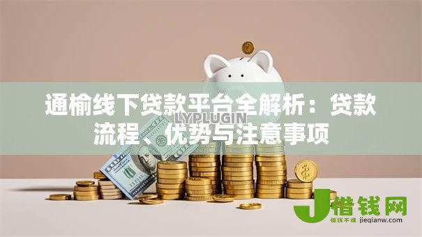通榆线下贷款平台全解析:贷款流程、优势与注意事项 通榆线下贷款平台全解析:贷款流程、优势与注意事项