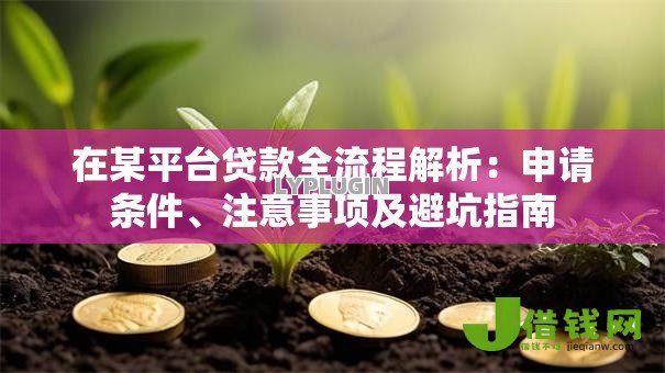 在某平台贷款全流程解析:申请条件、注意事项及避坑指南 在某平台贷款全流程解析:申请条件、注意事项及避坑指南