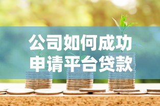公司如何成功申请平台贷款：全流程解析与注意事项