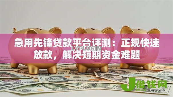 急用先锋贷款平台评测：正规快速放款，解决短期资金难题