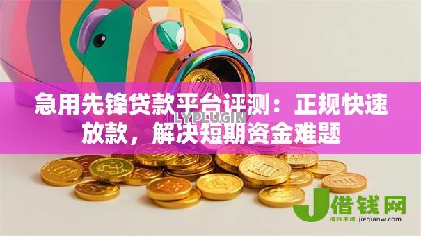 急用先锋贷款平台评测：正规快速放款，解决短期资金难题