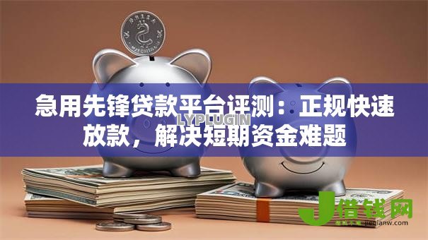 急用先锋贷款平台评测：正规快速放款，解决短期资金难题