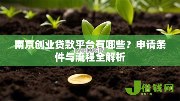 南京创业贷款平台有哪些?申请条件与流程全解析 南京创业贷款平台有哪些?申请条件与流程全解析