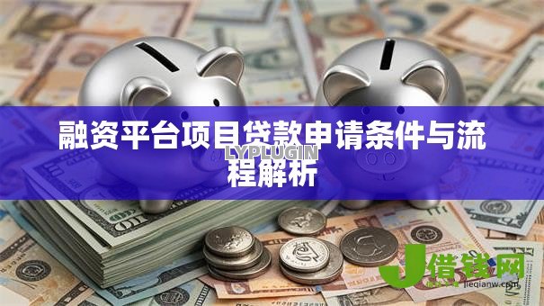 融资平台项目贷款申请条件与流程解析