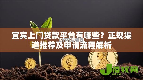 宜宾上门贷款平台有哪些？正规渠道推荐及申请流程解析