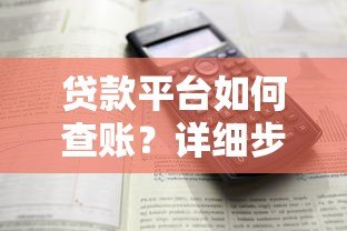 贷款平台如何查账?详细步骤与注意事项 贷款平台如何查账?详细步骤与注意事项