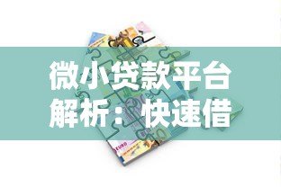 微小贷款平台解析:快速借款攻略与平台选择指南 微小贷款平台解析:快速借款攻略与平台选择指南