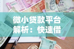 微小贷款平台解析:快速借款攻略与平台选择指南 微小贷款平台解析:快速借款攻略与平台选择指南