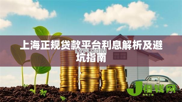 上海正规贷款平台利息解析及避坑指南 上海正规贷款平台利息解析及避坑指南