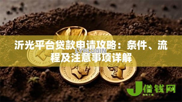 沂光平台贷款申请攻略：条件、流程及注意事项详解