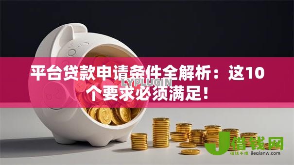 平台贷款申请条件全解析：这10个要求必须满足！