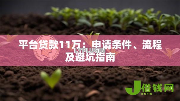 平台贷款11万:申请条件、流程及避坑指南 平台贷款11万:申请条件、流程及避坑指南