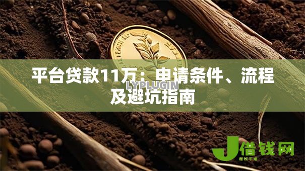 平台贷款11万:申请条件、流程及避坑指南 平台贷款11万:申请条件、流程及避坑指南