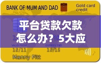 平台贷款欠款怎么办？5大应对方法助你避免逾期风险