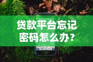 贷款平台忘记密码怎么办?快速找回密码的详细指南 贷款平台忘记密码怎么办?快速找回密码的详细指南