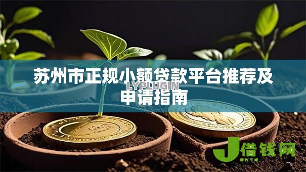 苏州市正规小额贷款平台推荐及申请指南