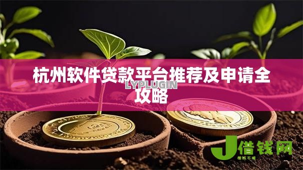 杭州软件贷款平台推荐及申请全攻略