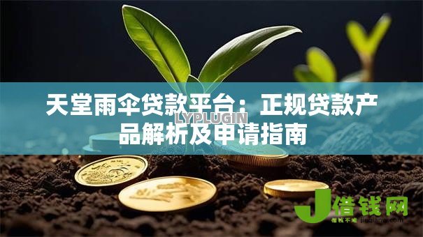 天堂雨伞贷款平台：正规贷款产品解析及申请指南
