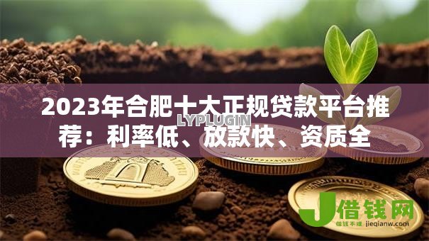 2023年合肥十大正规贷款平台推荐：利率低、放款快、资质全