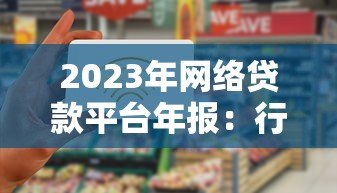 2023年网络贷款平台年报：行业趋势、用户画像与风险警示