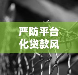 严防平台化贷款风险：识别陷阱与保障资金安全的实用指南