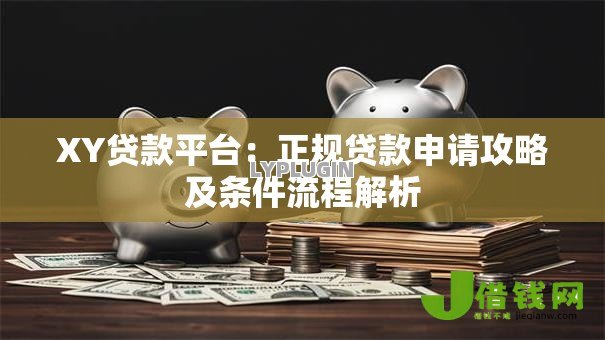 XY贷款平台：正规贷款申请攻略及条件流程解析