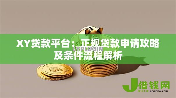 XY贷款平台：正规贷款申请攻略及条件流程解析