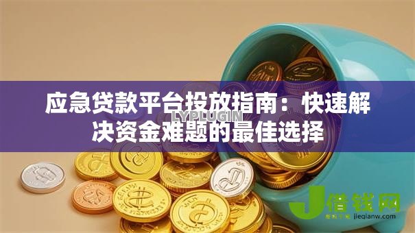 应急贷款平台投放指南：快速解决资金难题的最佳选择