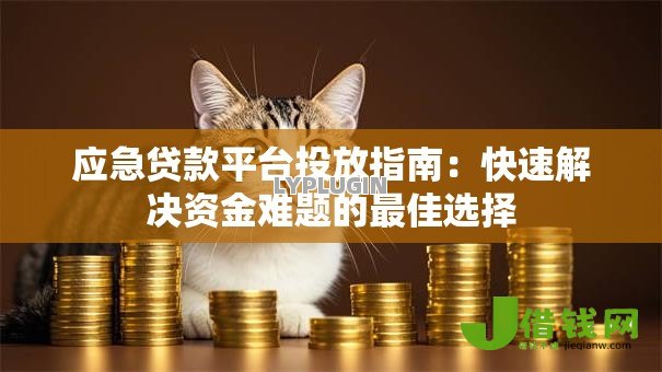 应急贷款平台投放指南：快速解决资金难题的最佳选择