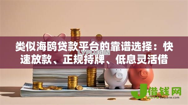 类似海鸥贷款平台的靠谱选择：快速放款、正规持牌、低息灵活借款攻略