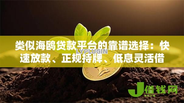 类似海鸥贷款平台的靠谱选择：快速放款、正规持牌、低息灵活借款攻略