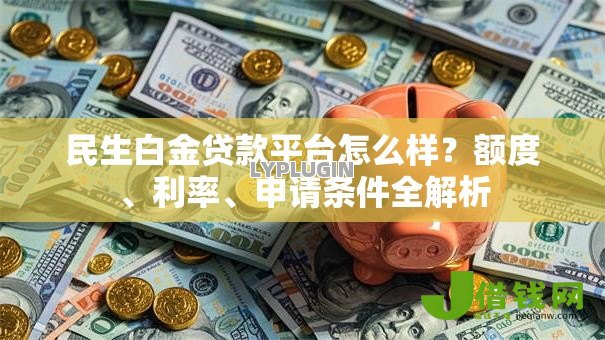 民生白金贷款平台怎么样？额度、利率、申请条件全解析