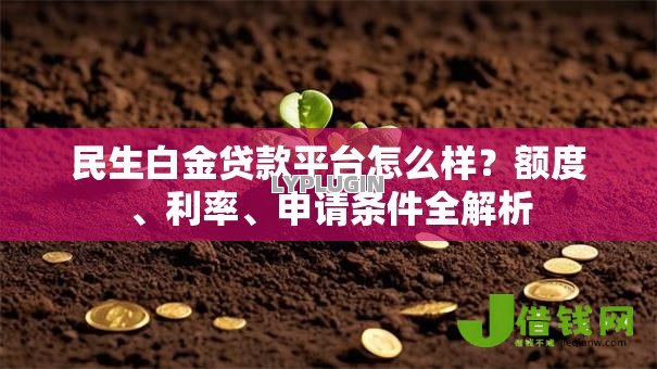 民生白金贷款平台怎么样？额度、利率、申请条件全解析