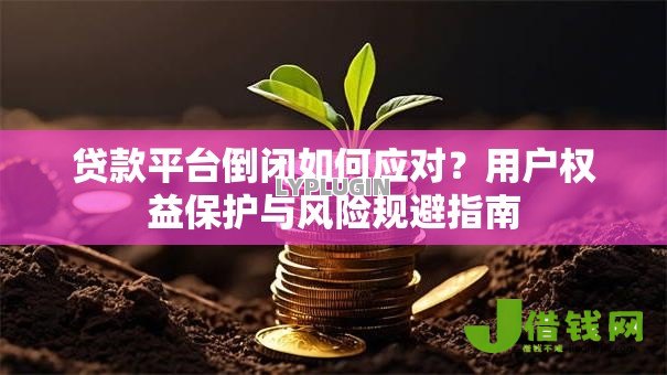 贷款平台倒闭如何应对?用户权益保护与风险规避指南 贷款平台倒闭如何应对?用户权益保护与风险规避指南