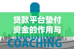 贷款平台垫付资金的作用与风险解析：用户必知的五大要点