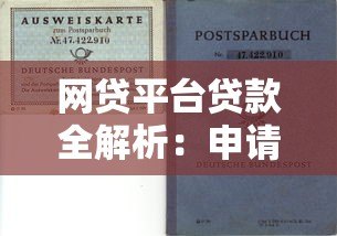 网贷平台贷款全解析：申请流程、风险防范与选择技巧