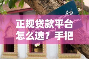 正规贷款平台怎么选？手把手教你避坑指南